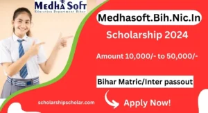 Medhasoft.Bih.Nic.In Scholarship