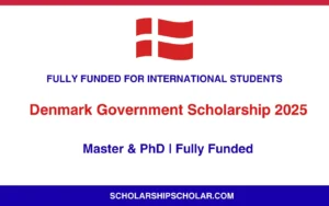 denmark government scholarships