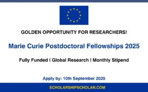 Marie Curie Postdoctoral Fellowship