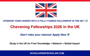 Chevening Fellowships 2026