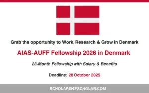 AIAS-AUFF Fellowship 2026