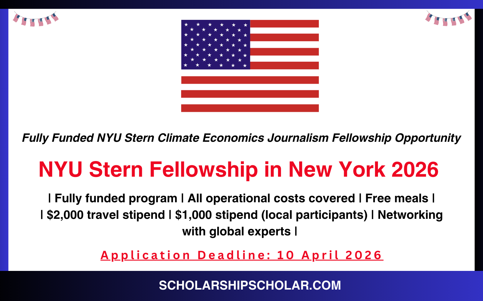 NYU Stern Fellowship in New York 2026